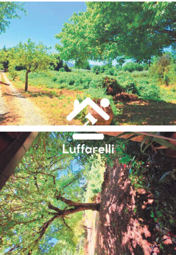 Immagine di CASA / VILLA STRADA STATALE CARPINETANA 609 SNC – MAENZA