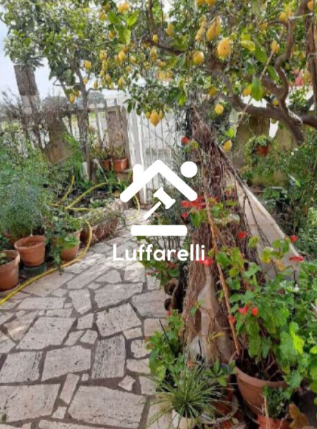 Immagine di APPARTAMENTO VIA CADOLINO – NETTUNO