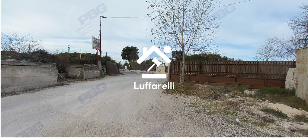 Immagine di TERRENO VIA CORSO ITALIA – GUIDONIA MONTECELIO