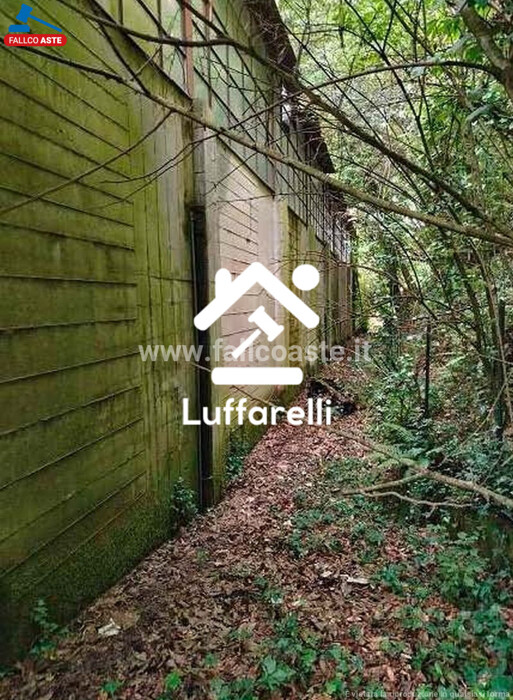 Immagine di TERRENO VIA DEI CASTAGNI – CAVE