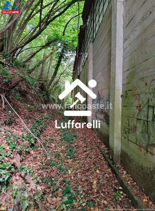 Immagine di TERRENO VIA DEI CASTAGNI – CAVE