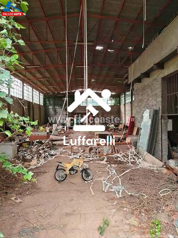 Immagine di TERRENO VIA DEI CASTAGNI – CAVE