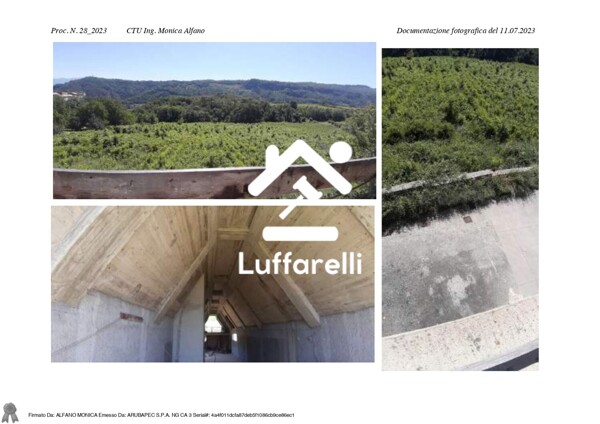 TERRENO LOCALITÀ CANALE - CAROLEI — foto 5