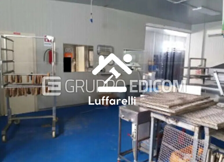 Immagine di CAPANNONE / IMMOBILI INDUSTRIALI LOCALITÀ ACQUAVONA – PLATANIA