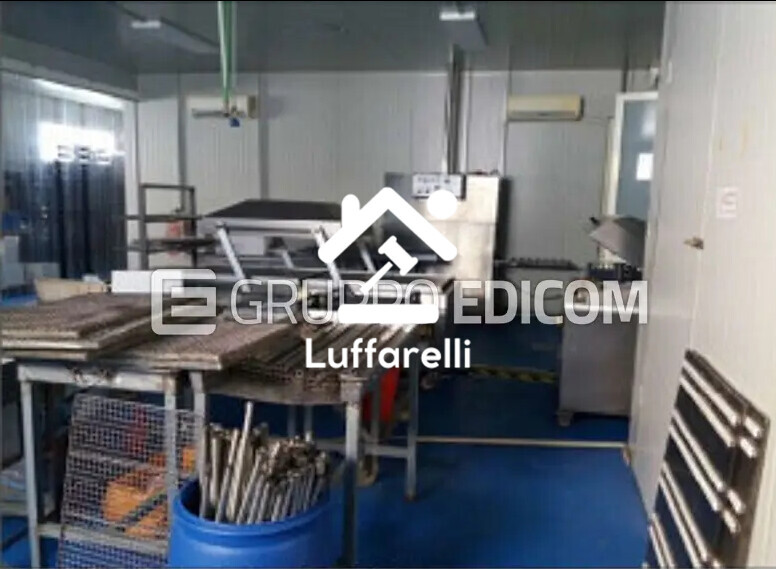 Immagine di CAPANNONE / IMMOBILI INDUSTRIALI LOCALITÀ ACQUAVONA – PLATANIA