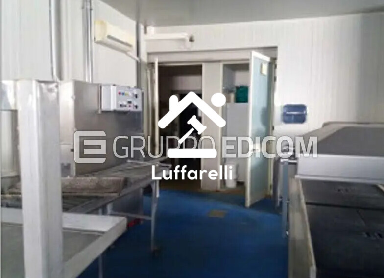 Immagine di CAPANNONE / IMMOBILI INDUSTRIALI LOCALITÀ ACQUAVONA – PLATANIA