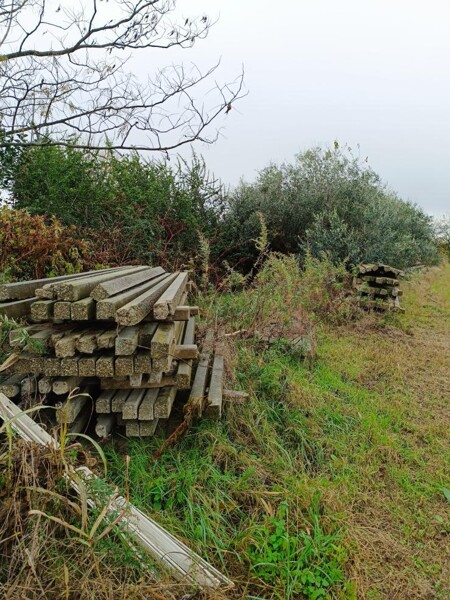 TERRENO SP34 - MARCALLO CON CASONE — foto 3