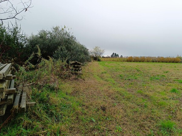 TERRENO SP34 - MARCALLO CON CASONE — foto 4