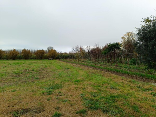 TERRENO SP34 - MARCALLO CON CASONE — foto 9