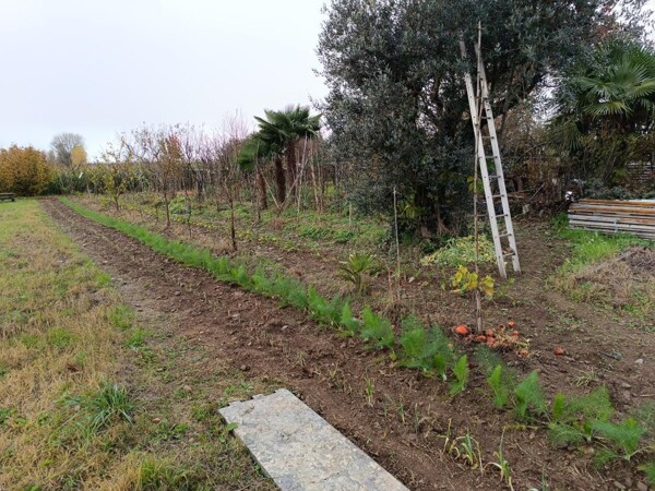 TERRENO SP34 - MARCALLO CON CASONE — foto 8