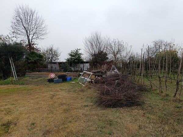 TERRENO SP34 - MARCALLO CON CASONE — foto 5