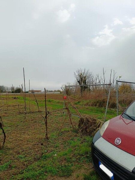 TERRENO SP34 - MARCALLO CON CASONE — foto 2