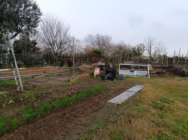 TERRENO SP34 - MARCALLO CON CASONE — foto 7