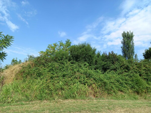 TERRENO VIA MONTEGRAPPA - SANT'ILARIO D'ENZA — foto 5