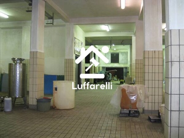 COMPLESSO IMMOBILIARE VIA ANAGNINA - GROTTAFERRATA — foto 7