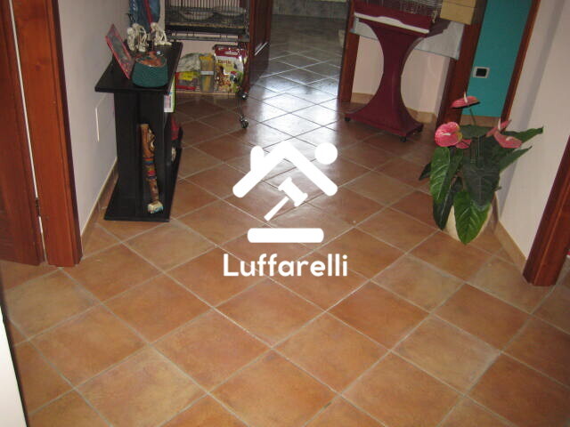 Immagine di CASA / VILLA VIA COLLE COTTORINO – FROSINONE