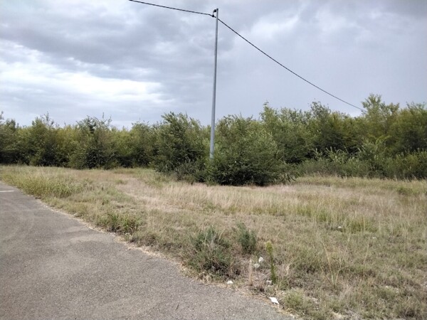 TERRENO VIA DELLA PACE - CORREGGIO — foto 4