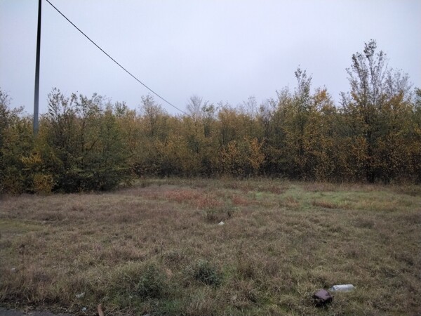 TERRENO VIA DELLA PACE - CORREGGIO — foto 5