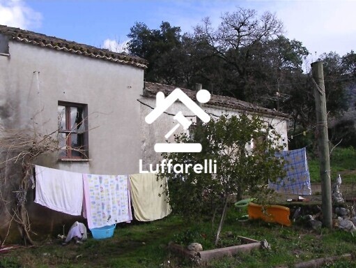 Immagine di TERRENO VIA CASALI – MAENZA