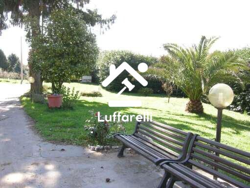 CASA / VILLA VIA TEVOLA - VELLETRI — foto 4