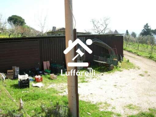 Immagine di CASA / VILLA VIA TEVOLA – VELLETRI