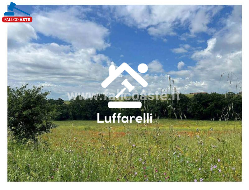 Immagine di TERRENO VIA DI PERAZZETA – FORMELLO