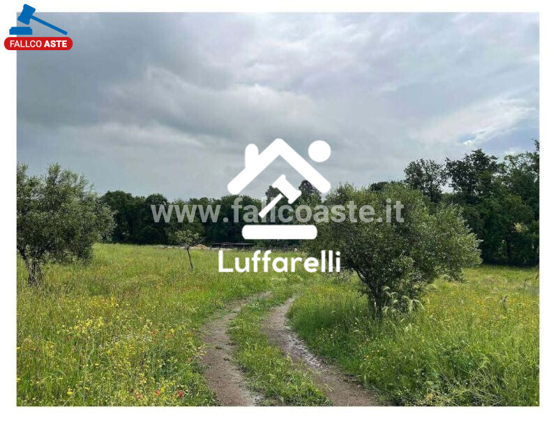 Immagine di TERRENO VIA DI PERAZZETA – FORMELLO
