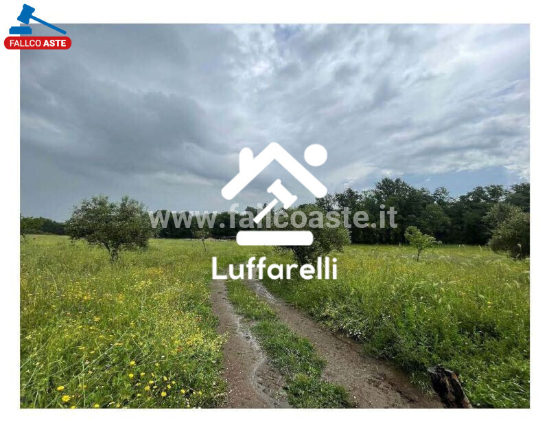 Immagine di TERRENO VIA DI PERAZZETA – FORMELLO