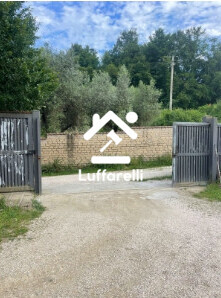 CAPANNONE / IMMOBILI INDUSTRIALI VIA VIGNA DEL PIANO - RIANO — foto 2