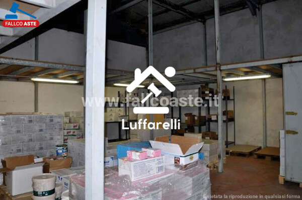 CAPANNONE / IMMOBILI INDUSTRIALI VIA CHIVASSO - ROMA — foto 9