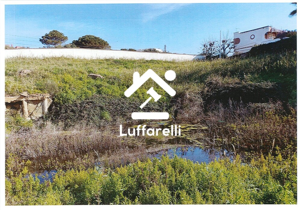 Immagine di TERRENO VIA AURELIA – SANTA MARINELLA