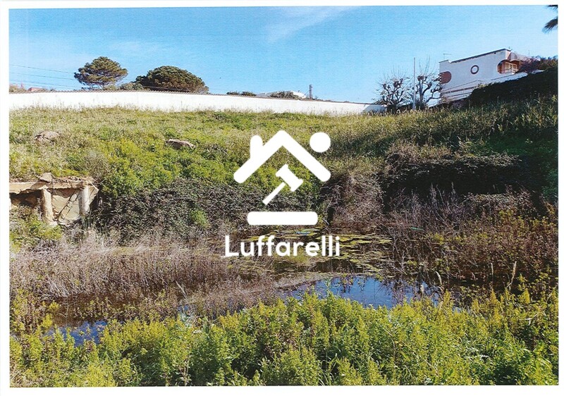 Immagine di TERRENO VIA AURELIA – SANTA MARINELLA