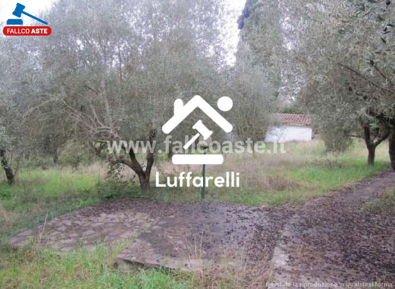 Immagine di CASA / VILLA STRADA DEGLI ARDONI 10 – PALOMBARA SABINA