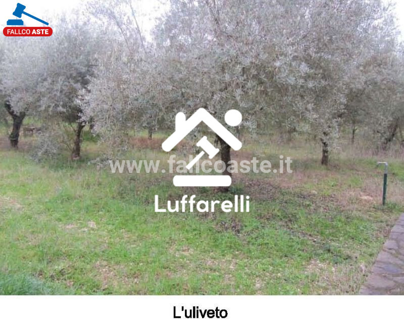 Immagine di CASA / VILLA STRADA DEGLI ARDONI 10 – PALOMBARA SABINA