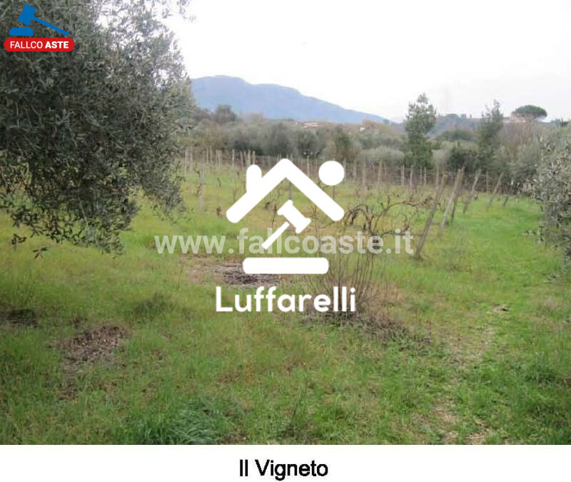 Immagine di CASA / VILLA STRADA DEGLI ARDONI 10 – PALOMBARA SABINA