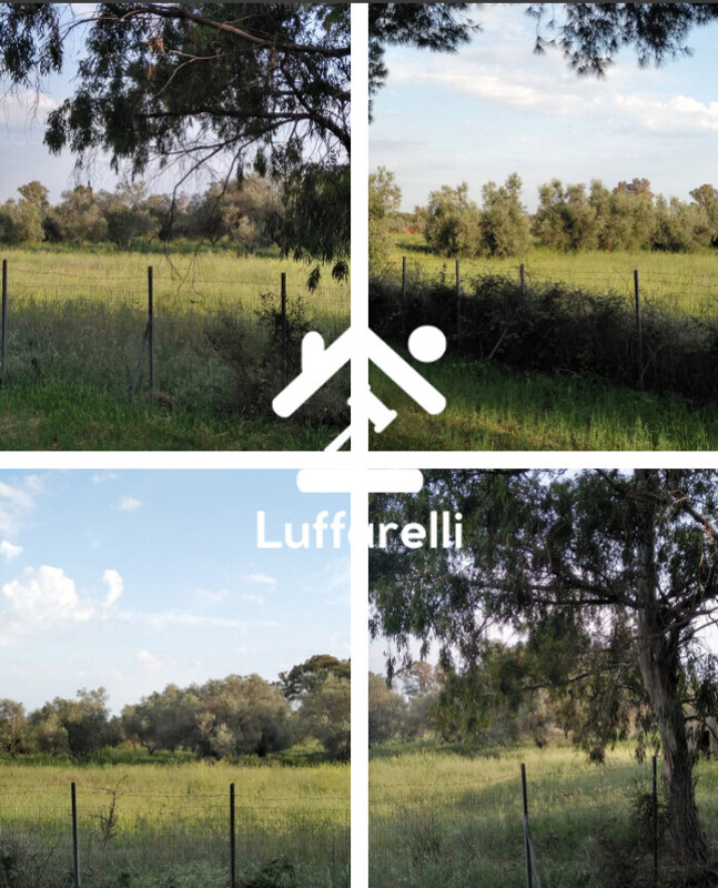 Immagine di TERRENO VIA DI CERI – CERVETERI