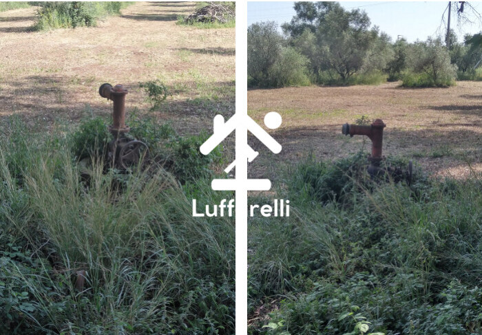 Immagine di TERRENO VIA DI CERI – CERVETERI