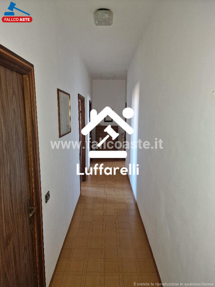COMPENDIO IMMOBILIARE STRADA MONTE ALZATO - CAPALBIO — foto 5