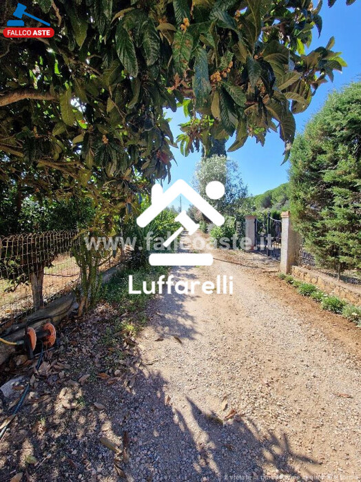 Immagine di COMPENDIO IMMOBILIARE STRADA MONTE ALZATO – CAPALBIO