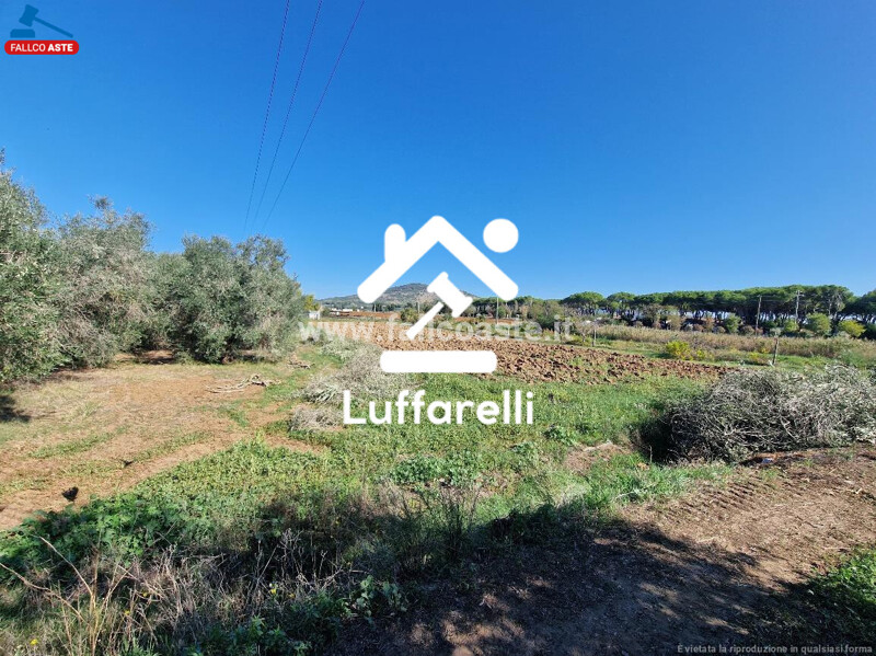 Immagine di COMPENDIO IMMOBILIARE STRADA MONTE ALZATO – CAPALBIO