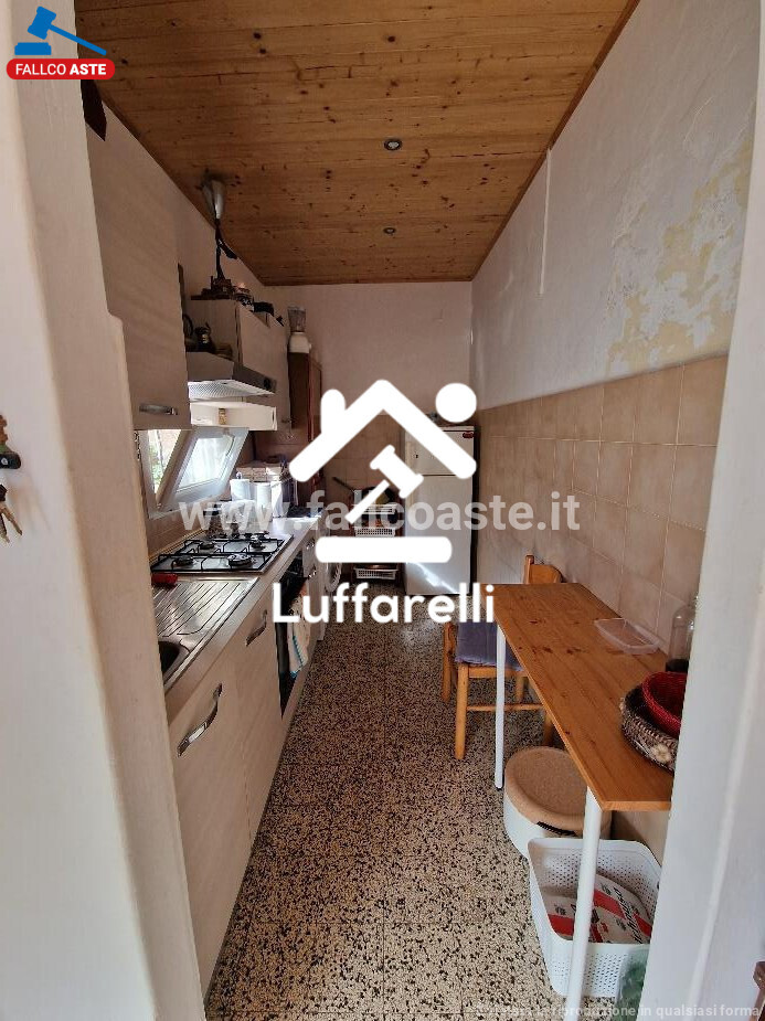 COMPENDIO IMMOBILIARE STRADA MONTE ALZATO - CAPALBIO — foto 4
