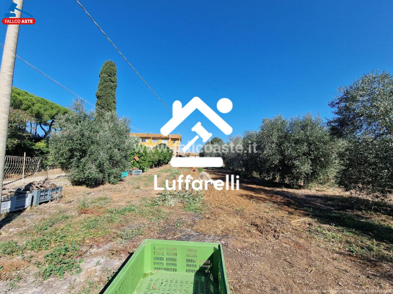 Immagine di COMPENDIO IMMOBILIARE STRADA MONTE ALZATO – CAPALBIO