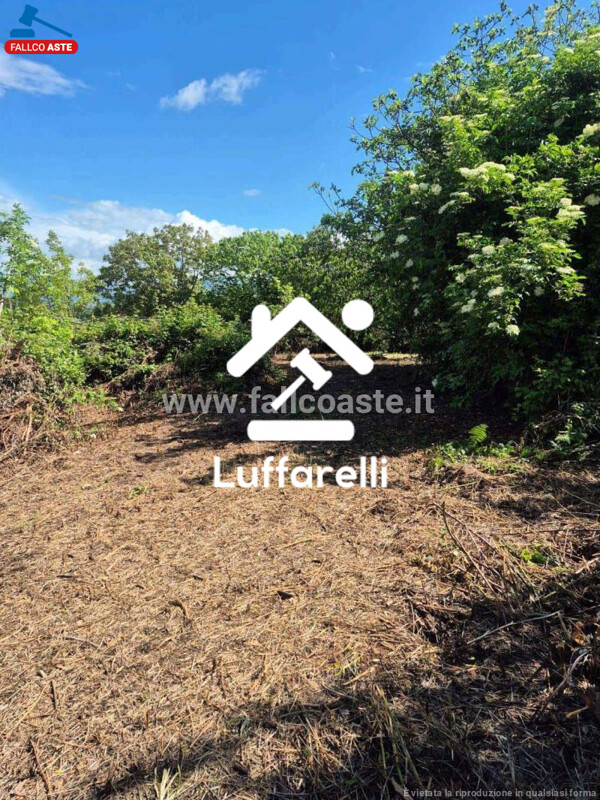Immagine di APPARTAMENTO VIA DI VIGNE NUOVE – SAN CESAREO