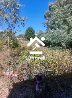 Immagine di APPARTAMENTO VIA CARLO PISACANE – APRILIA