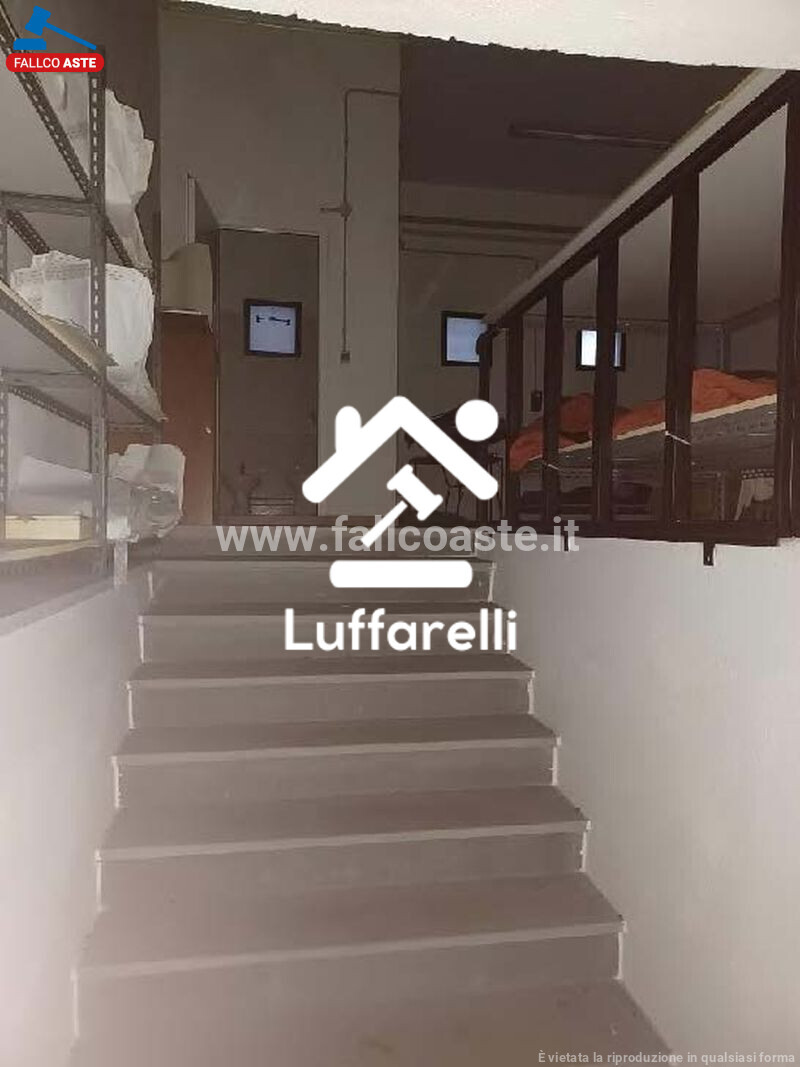DEPOSITO / MAGAZZINO VIA LEOPOLDO MICUCCI - ROMA — foto 6