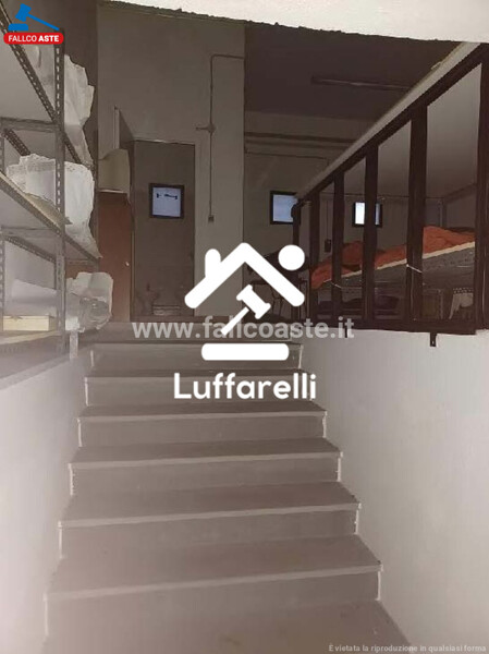 DEPOSITO / MAGAZZINO VIA LEOPOLDO MICUCCI - ROMA — foto 6
