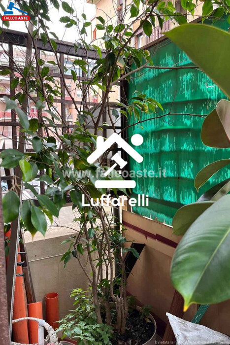Immagine di APPARTAMENTO VIA COSTANZO CASANA – ROMA