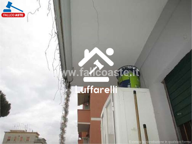 Immagine di APPARTAMENTO VIA DEL CAMPO – ROMA