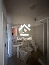 CAPANNONE / IMMOBILI INDUSTRIALI VIA FLAMINIA - RIANO — foto 7