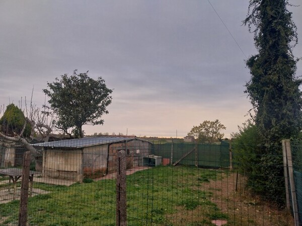 APPARTAMENTO VIA CASETTE - TERRAZZO — foto 3